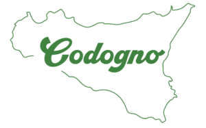 Fake Codogno