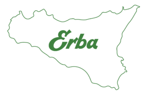 Fake Erba